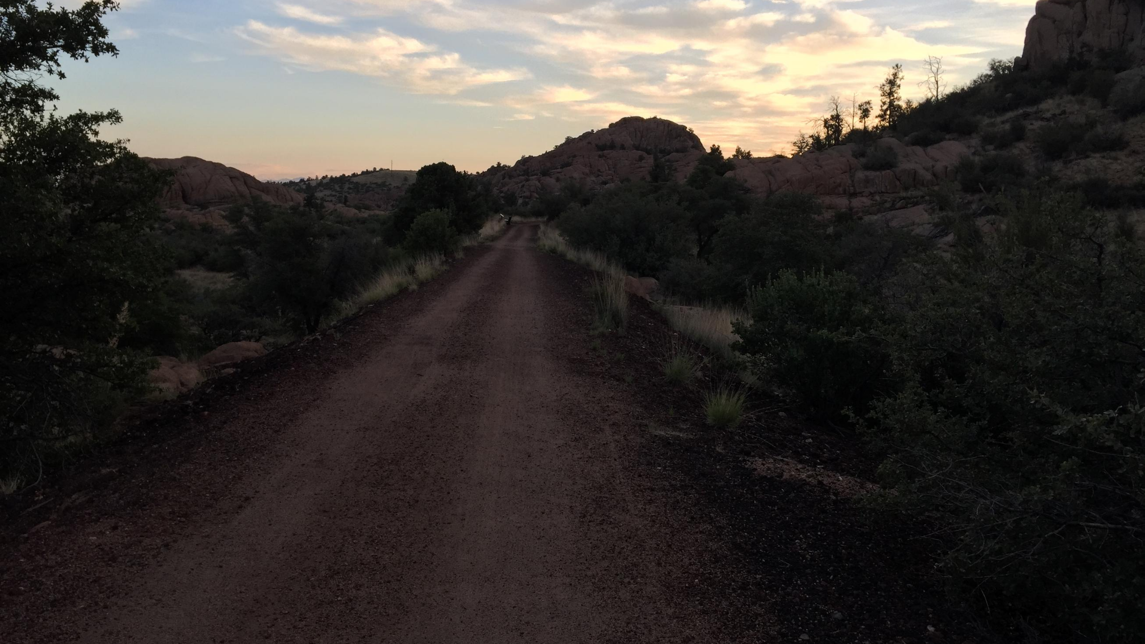 the road up from Phoenix to Prescott with lush trees around