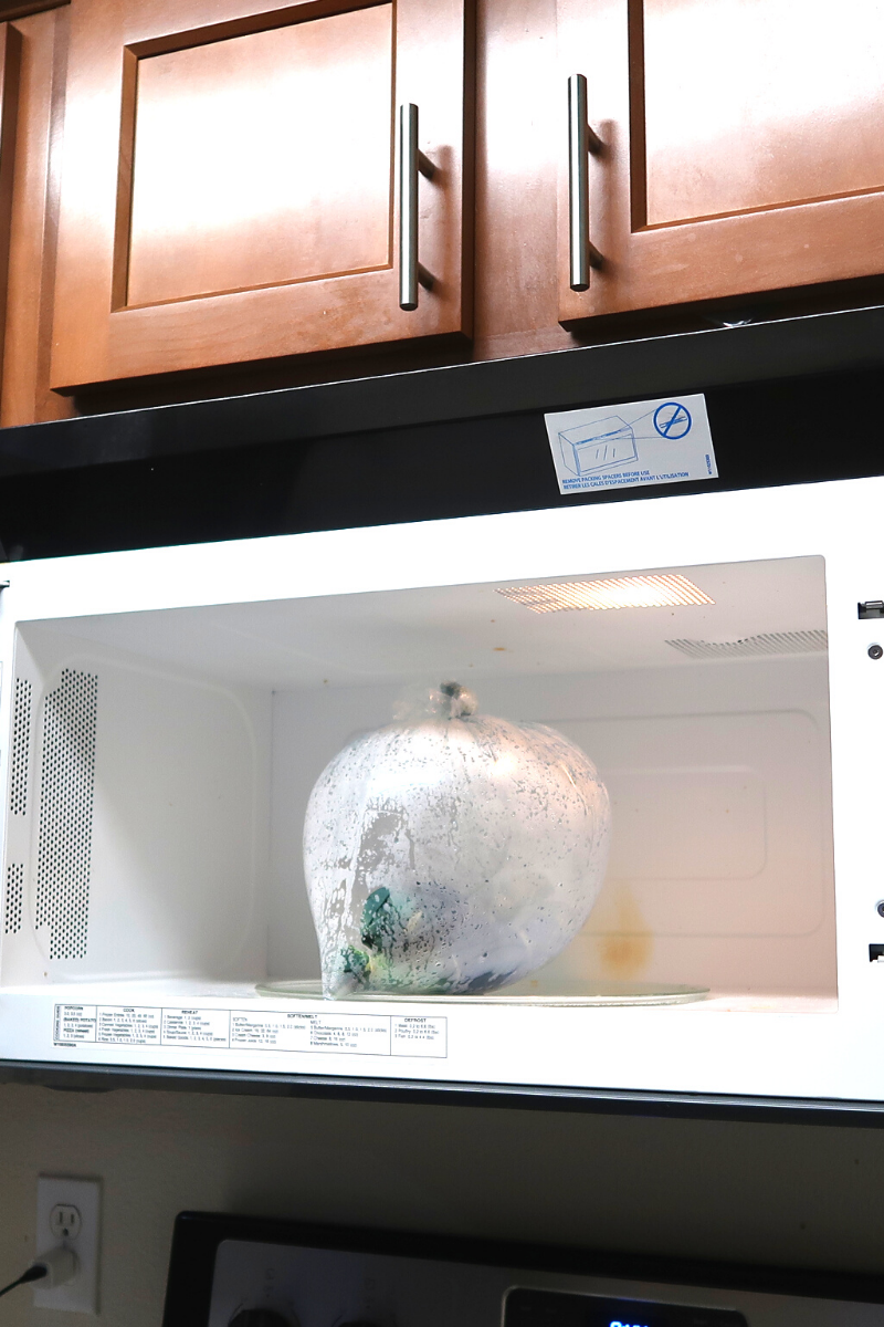 Plastic bag with dyed shirt inside the microwave