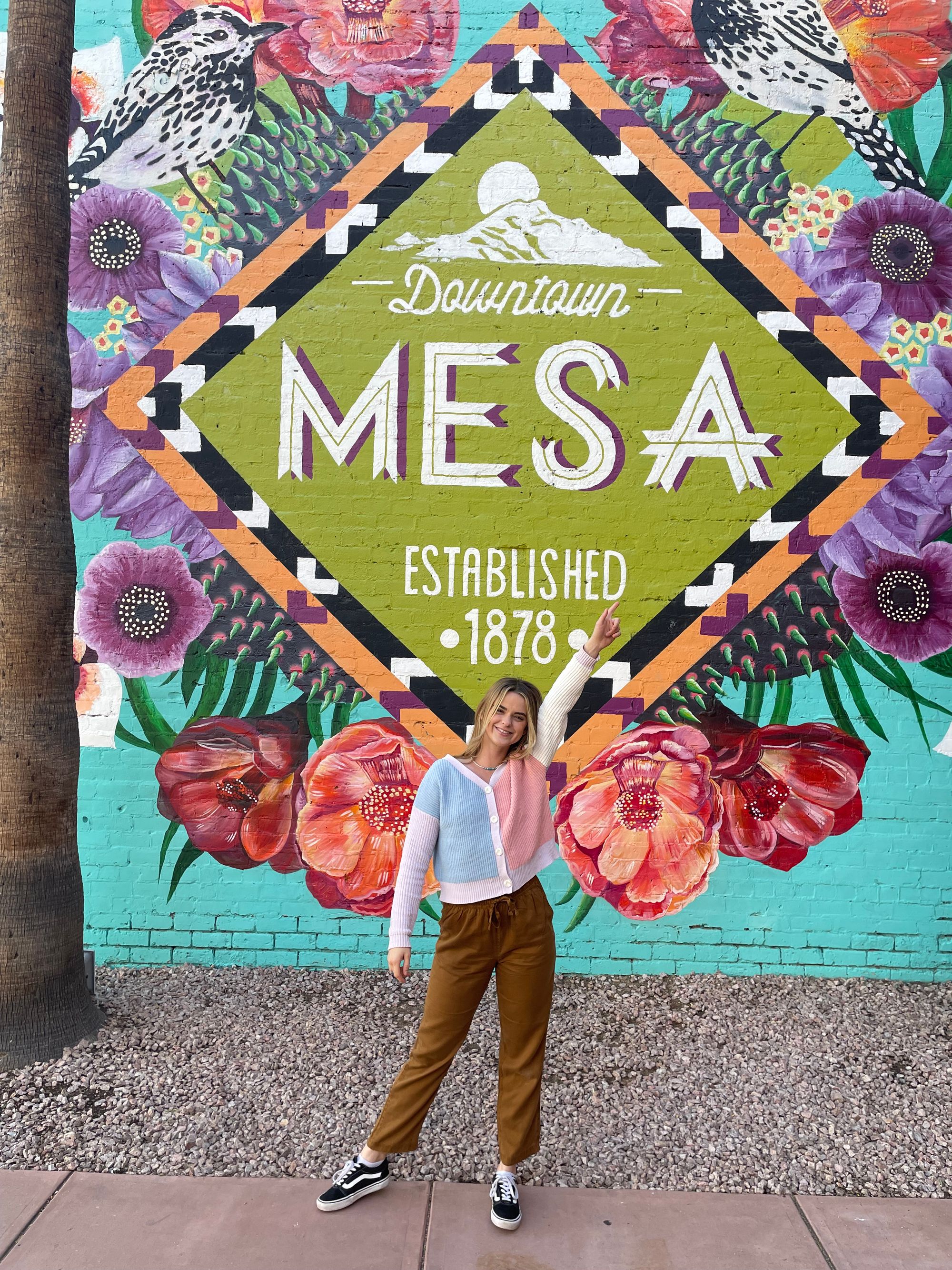 Mesa Az Population