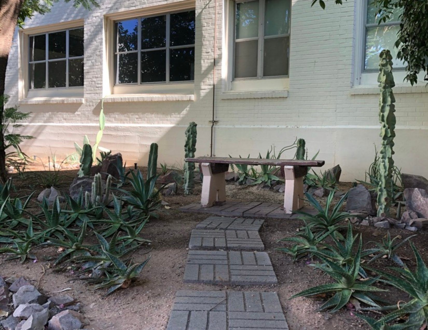 Stone Bench surrounded by cacti in Tempe Arizona