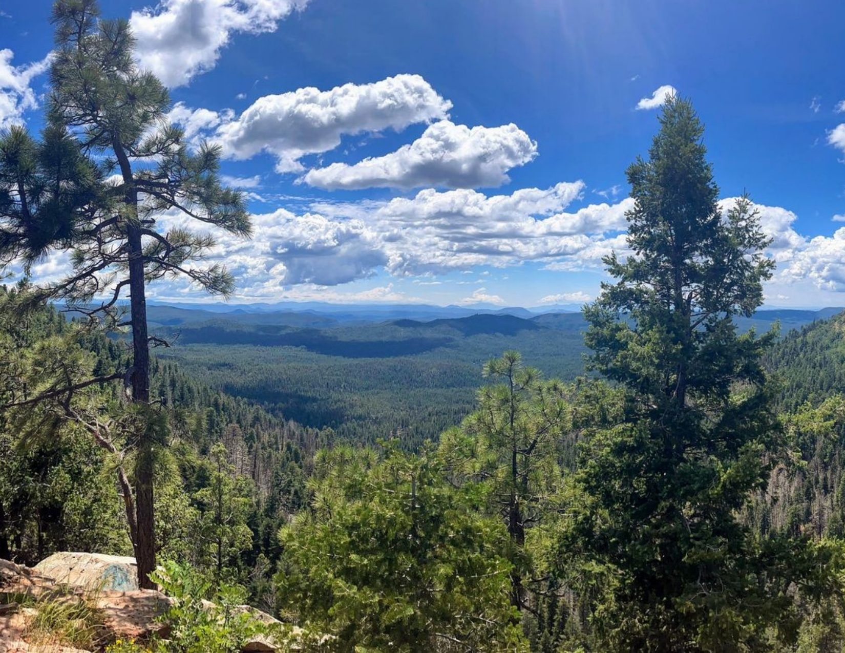 green trees, blue skies, mountains in the distance, panoramic view of the Mogollon Rim in Payson Arizona