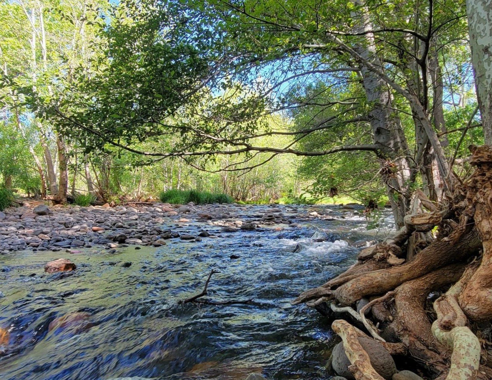 Rushing water and lush green trees at Red Rock Crossing in Sedona Arizona