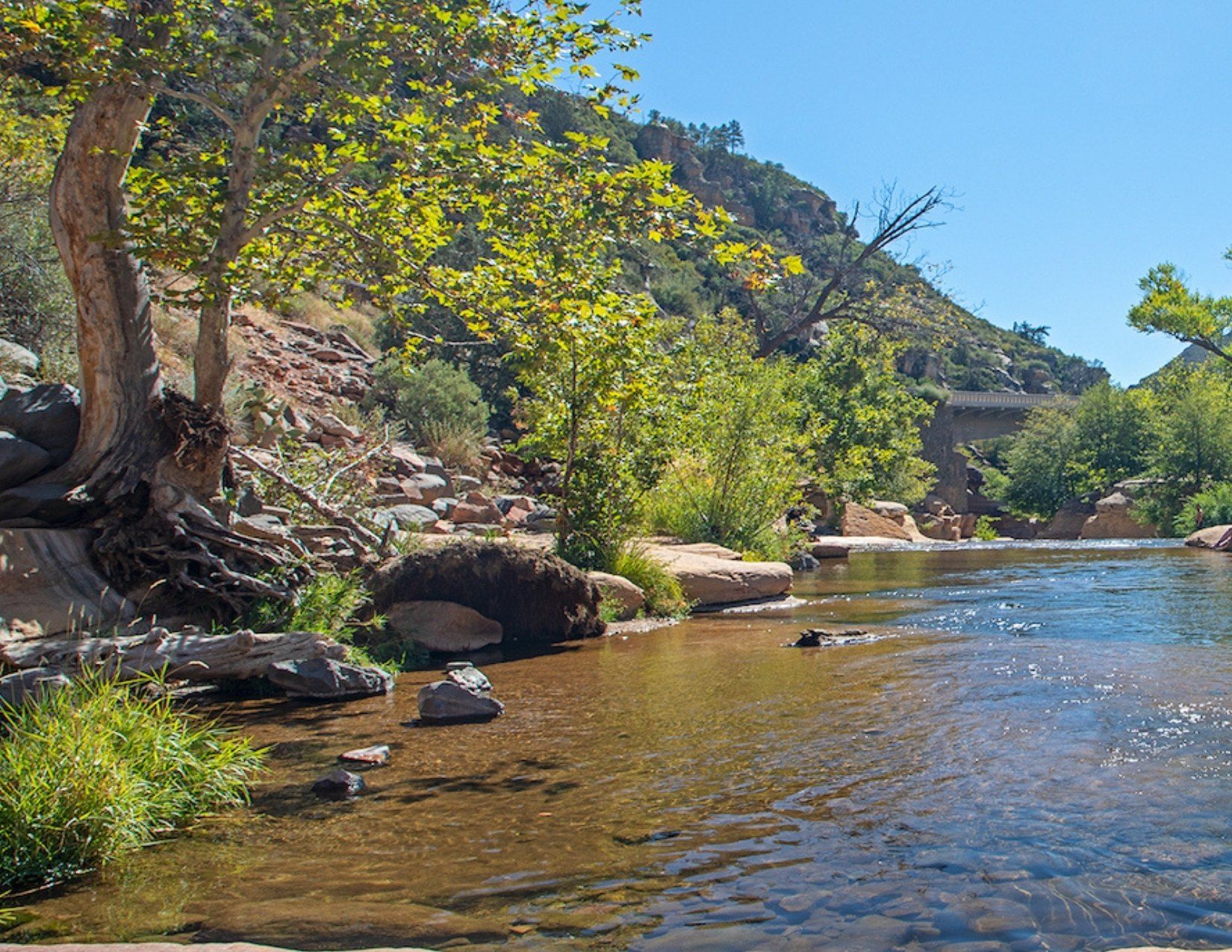 Swimming Holes In Sedona