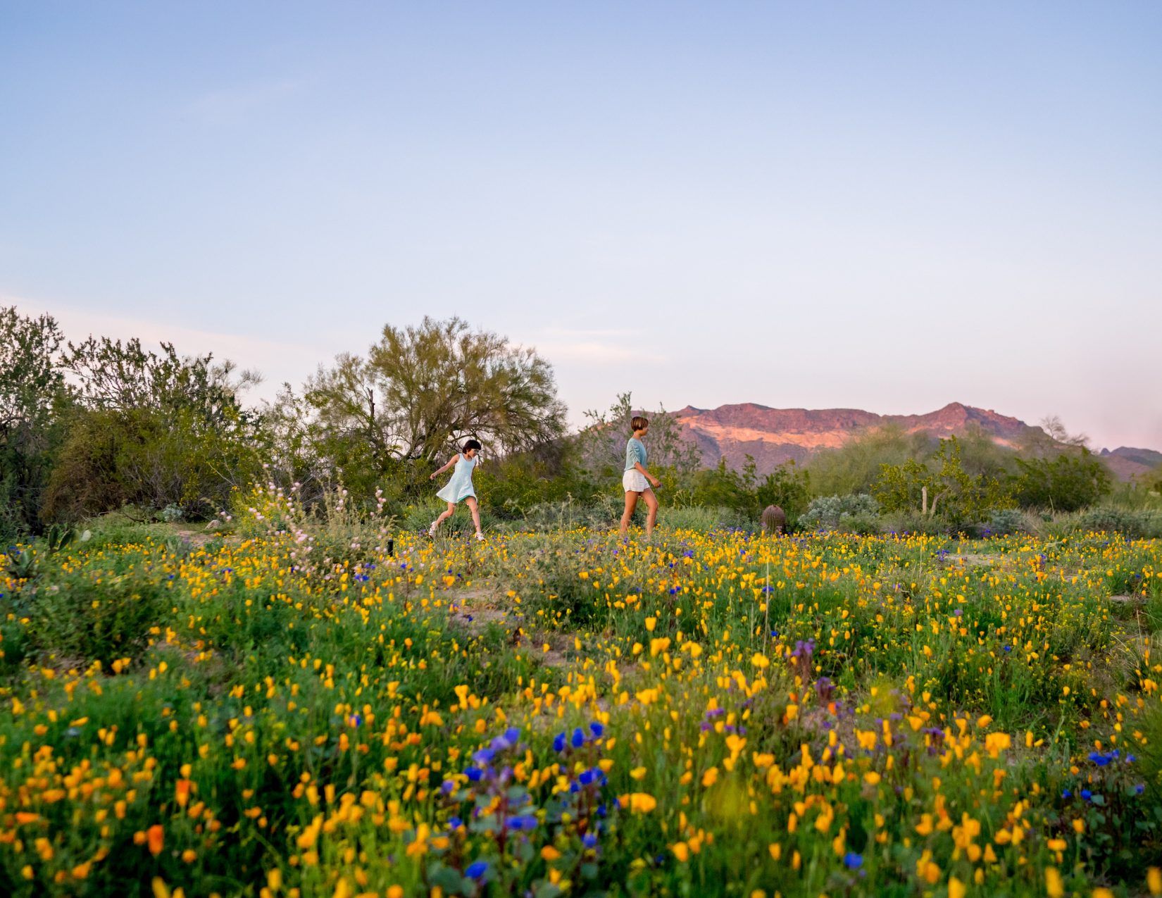 two people jumping through the beautiful yellow flowers in bloom at Lost Dutchman State Park
