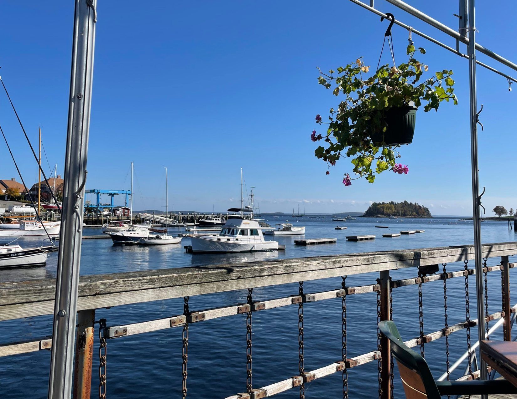 View of boats docked in a marina on dark blue water with an island in the distance in Camden, Maine