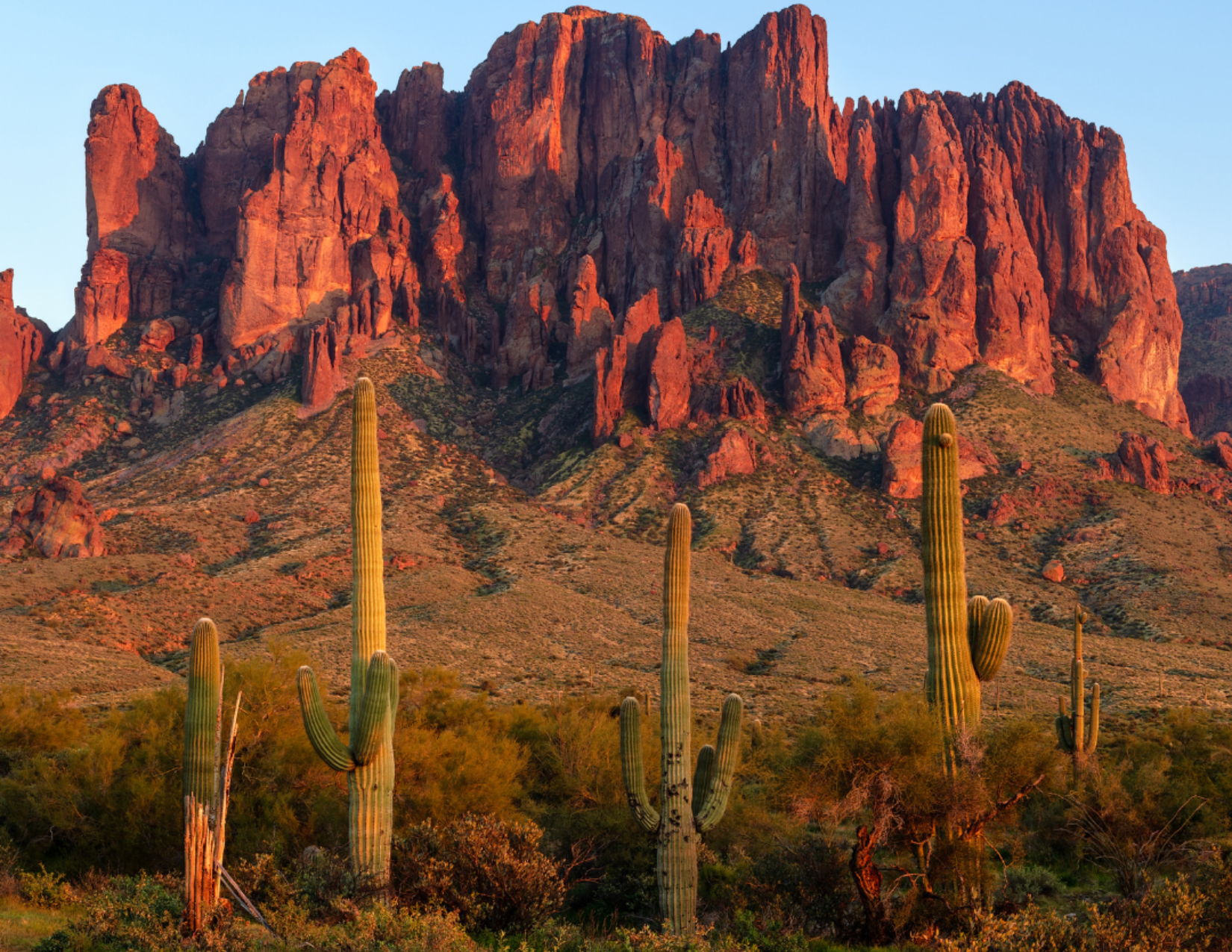 An ideal wedding location in front of cacti and the Superstition Mountains near Mesa, Arizona