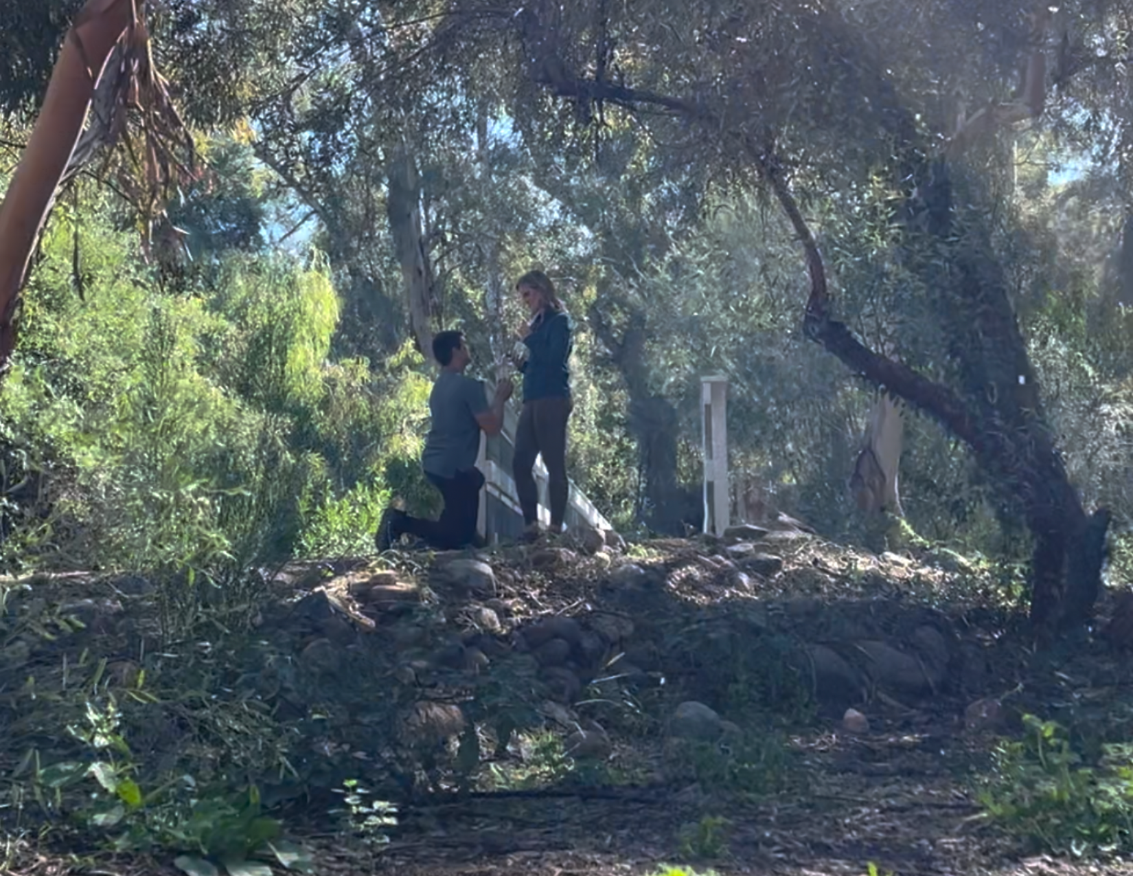 Man on one knee proposing to woman in front of a bridge surrounded by lush green trees at Boyce Thompson Arboretum in Superior, Arizona