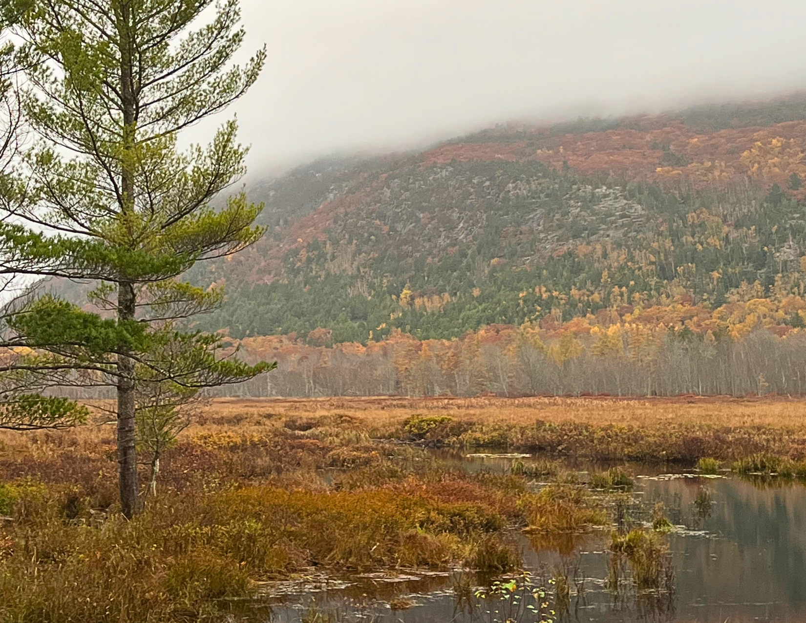 The Ultimate Guide to Roadtripping to Maine in the Fall
