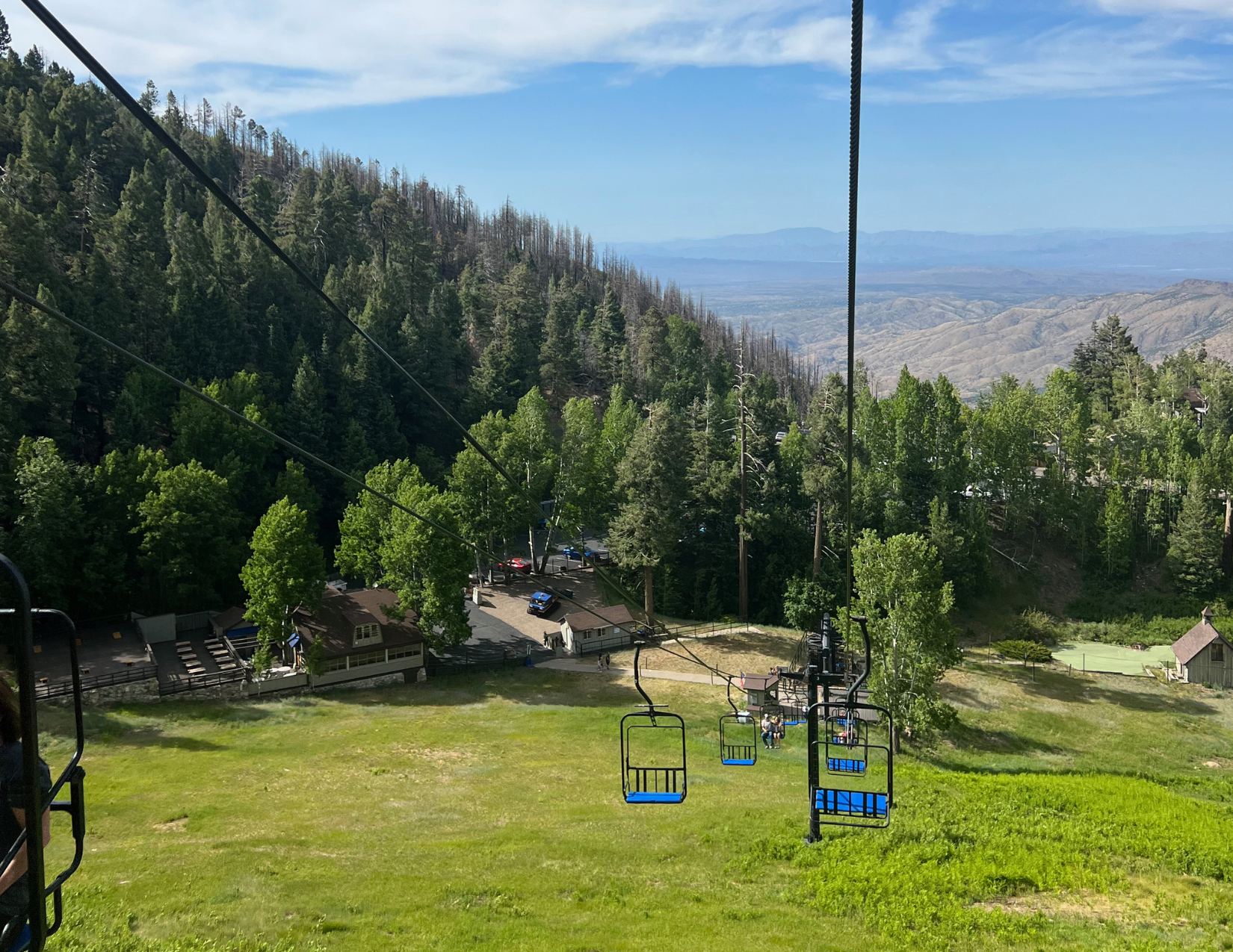 View of bright green trees and the Catalina Mountain Range from a ski lift in Summerhaven on Mount Lemmon