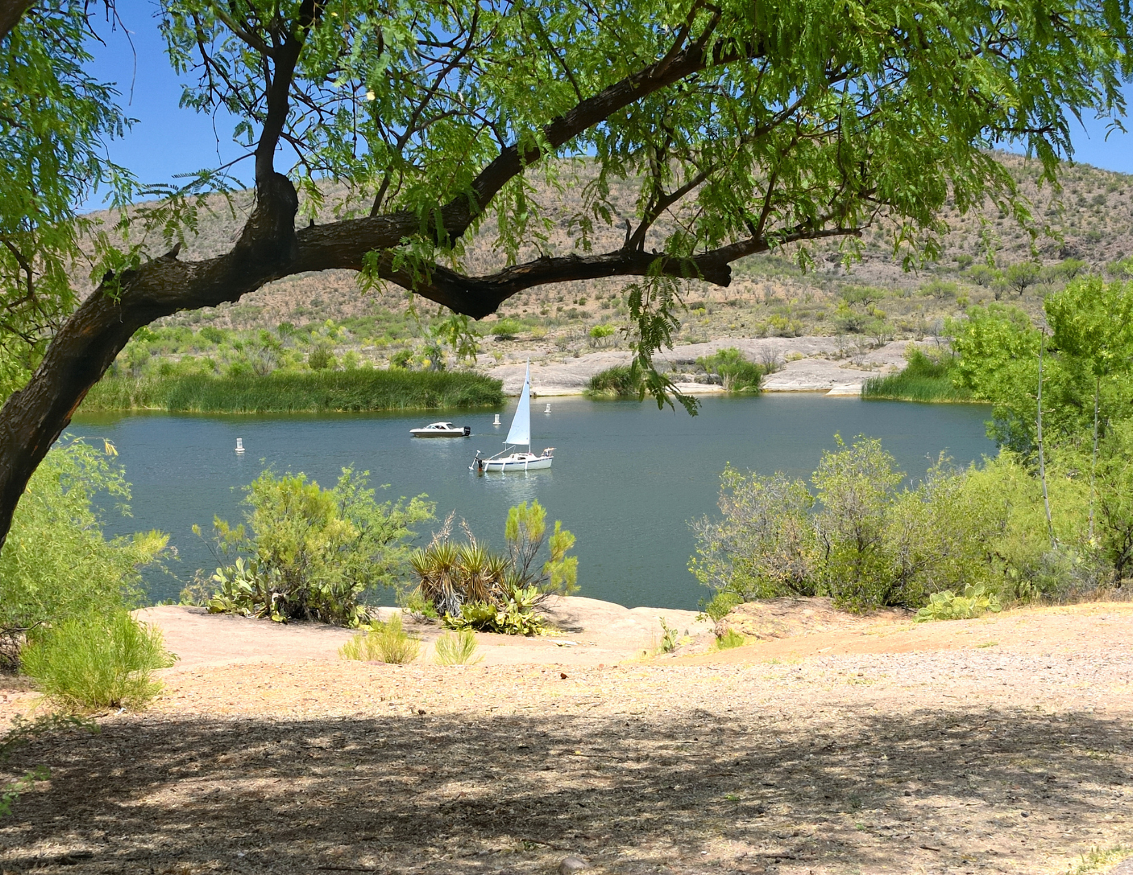 A sail boat cruising down Patagonia Lake in Patagonia, Arizona, surrounded by the desert and mountains.