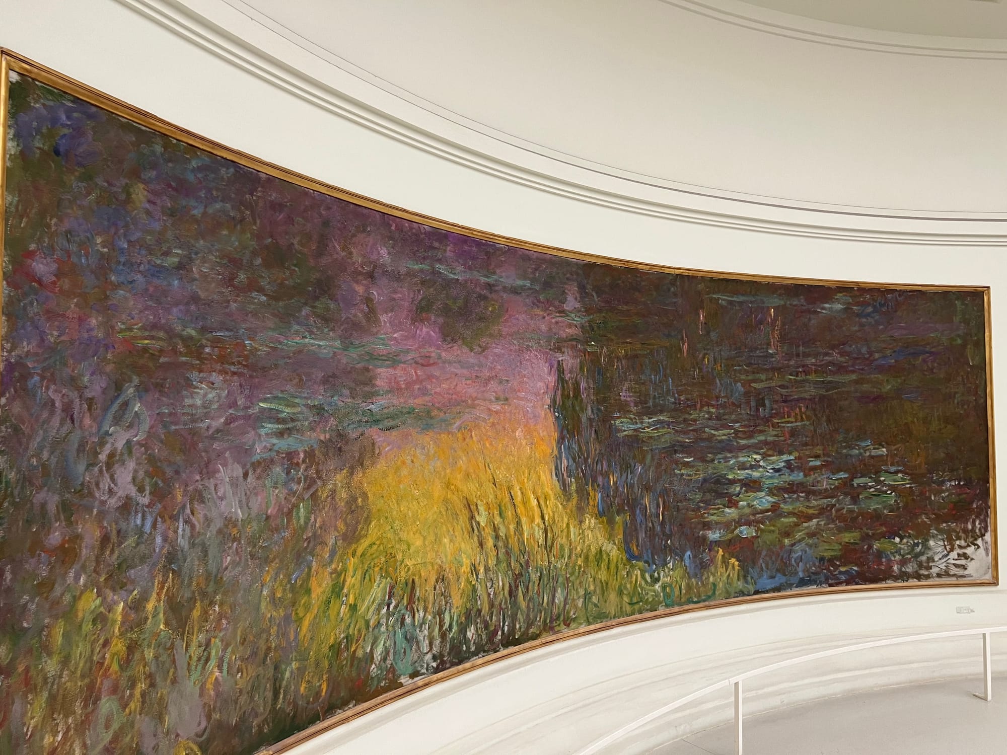 Water lilies painting by Claude Monet at the Musée l'Orangerie in Paris, France