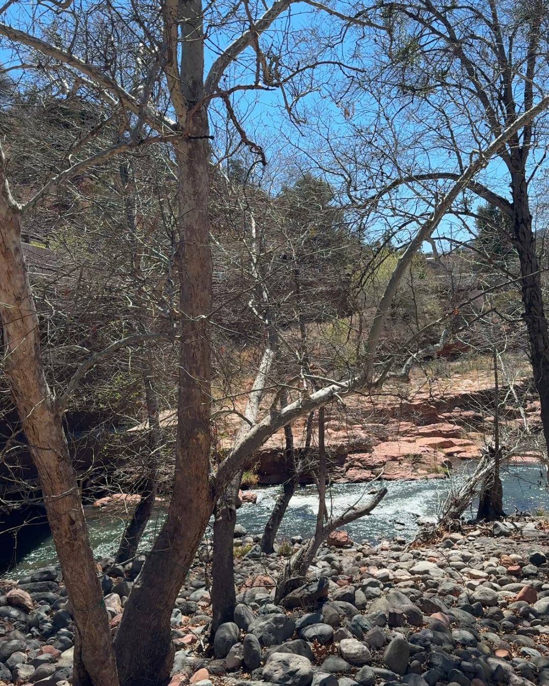 Rushing river surrounded by trees at Oak Creek Bridge in Sedona, Arizona