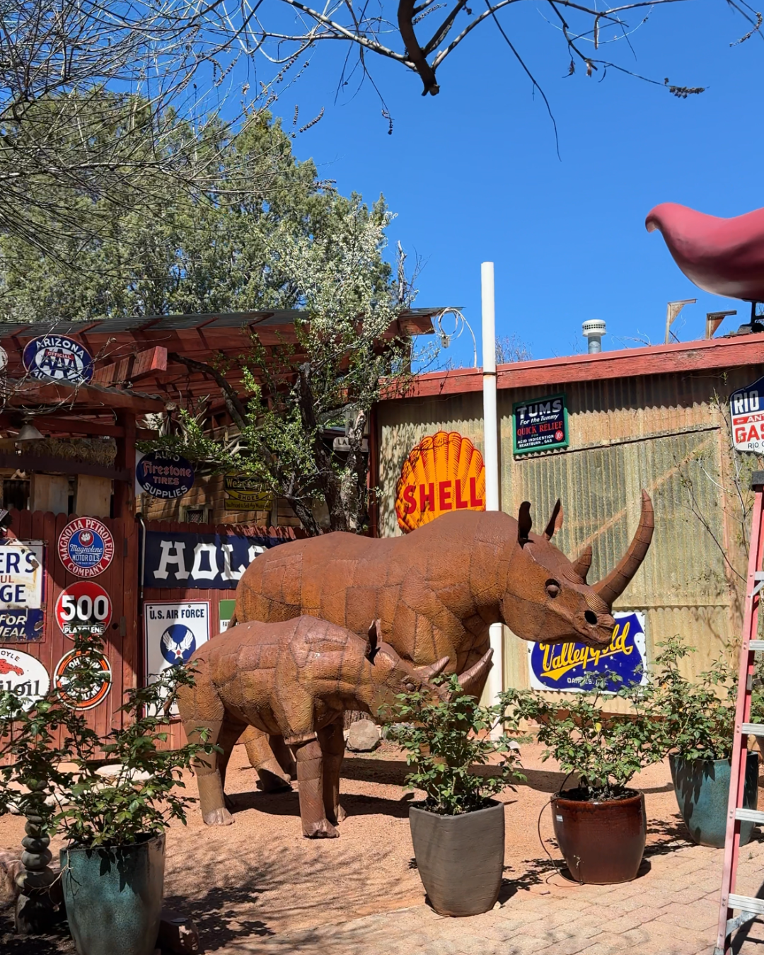Metallic Rhinos on display at Son-Silver-West Galleries in Sedona, Arizona