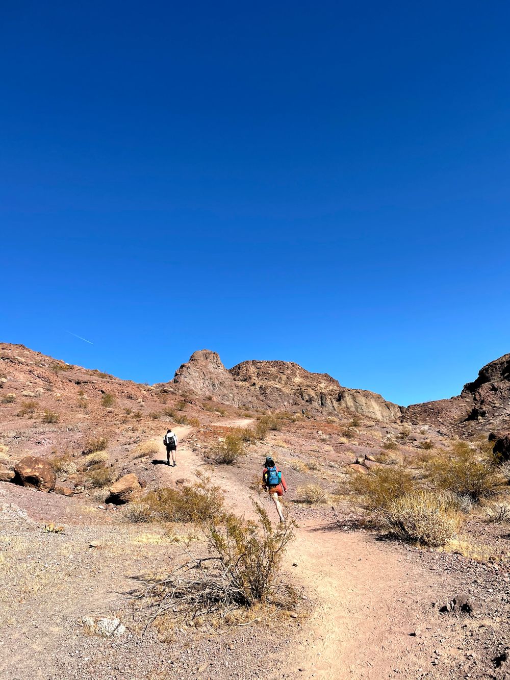 Guide To Ringbolt Hot Springs In Arizona Wildjoy 2644